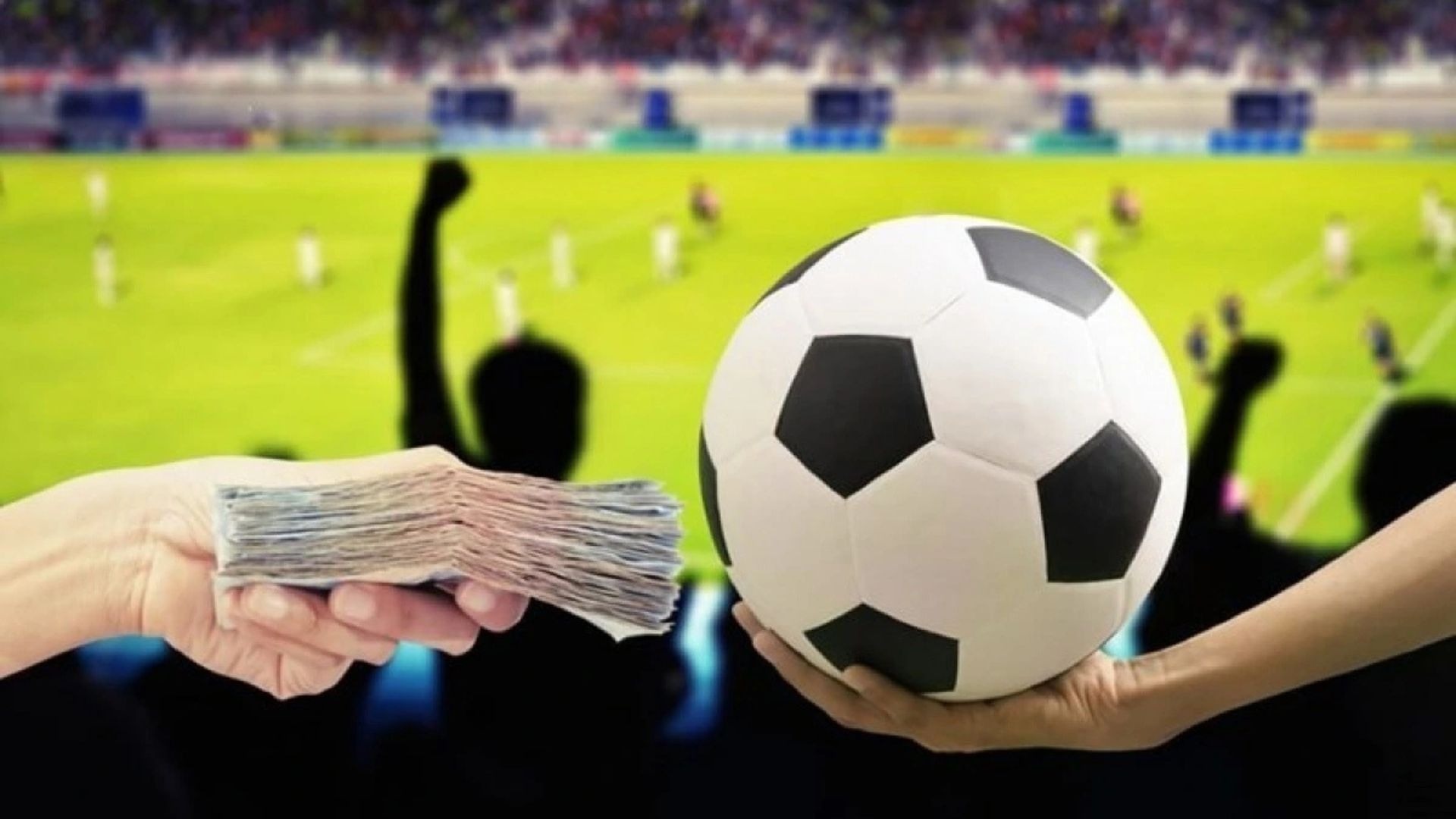 betfair exchange stop loss 