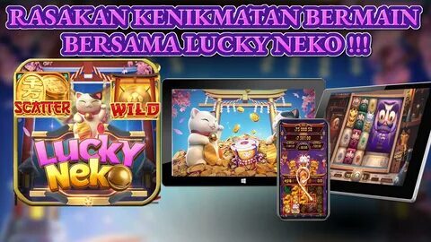 hard rock bet app casino florida 