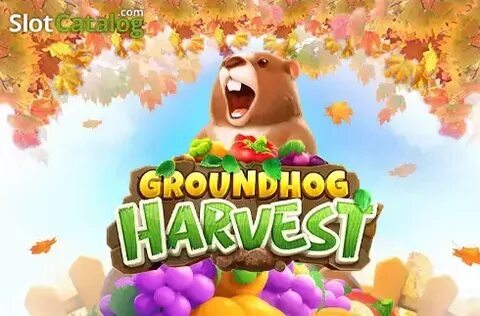 lcs betfair 
