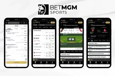 telegram apostas esportivas 